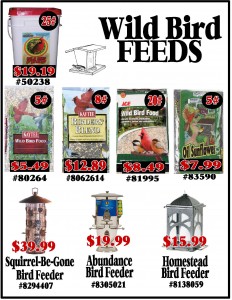 Bird Feed & Feeders