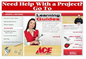 ace learning Guides
