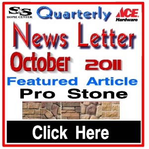 News Letter